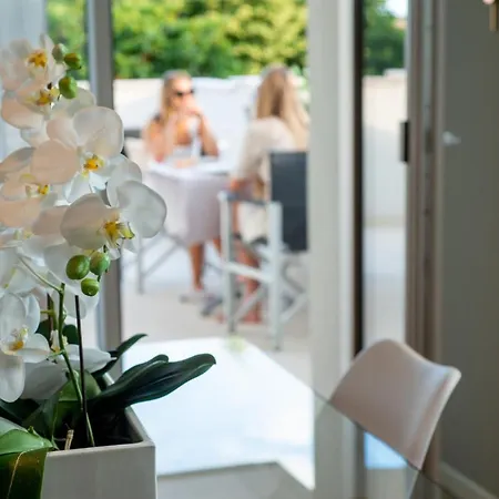 Guest house Casa Dp